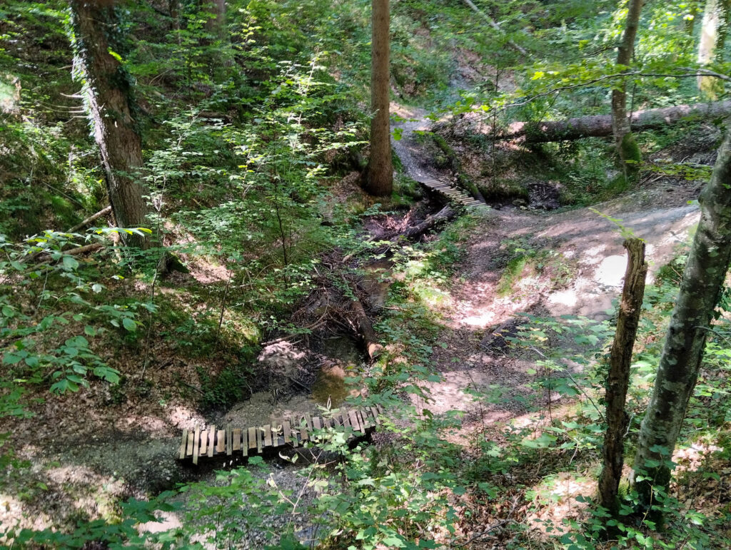 Waldgebiet südwestlich von Ramsee