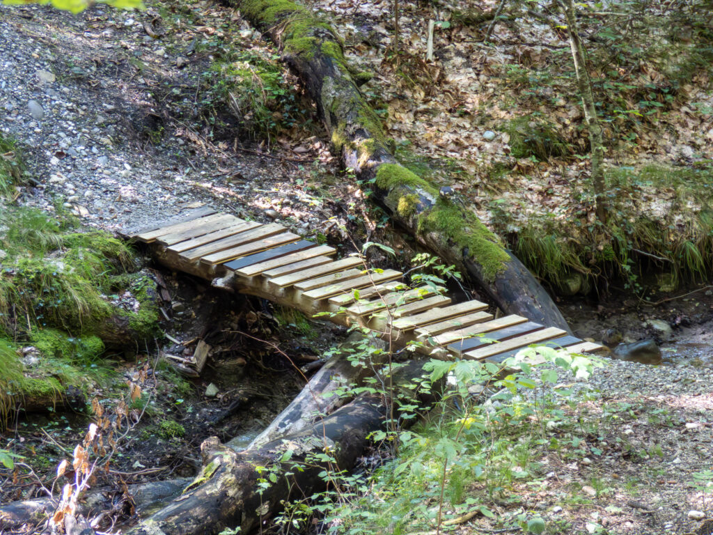 Waldgebiet südwestlich von Ramsee