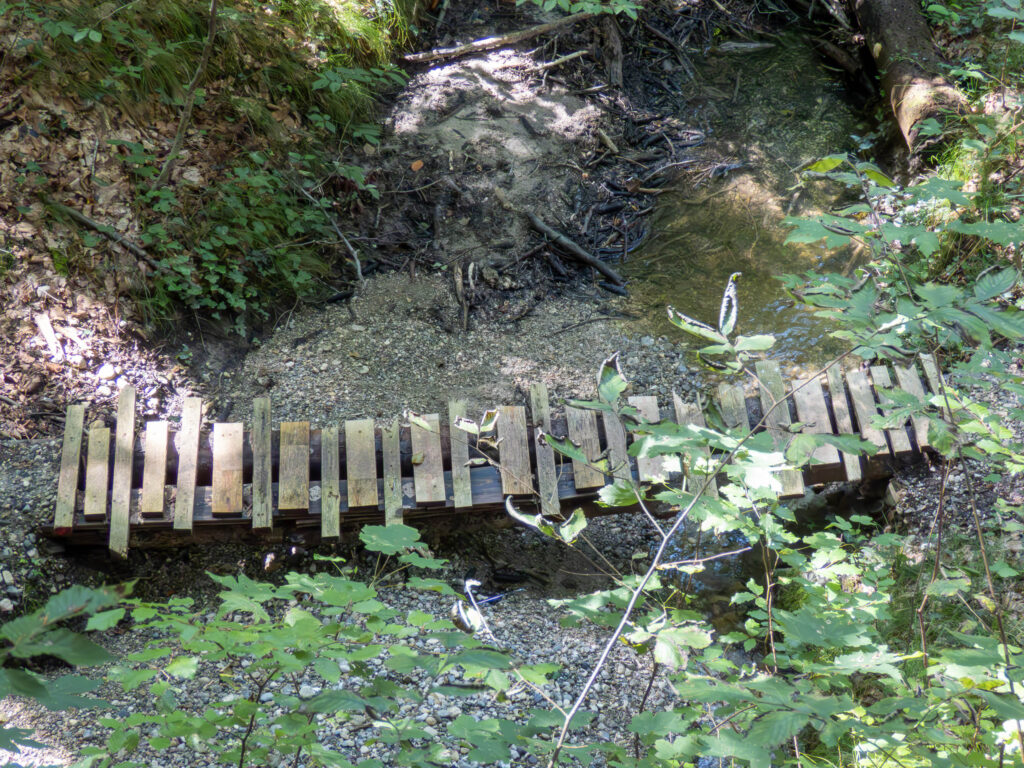 Waldgebiet südwestlich von Ramsee